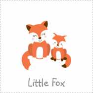 little girl fox baby shower theme